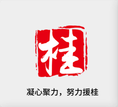 聚焦产业，努力援桂